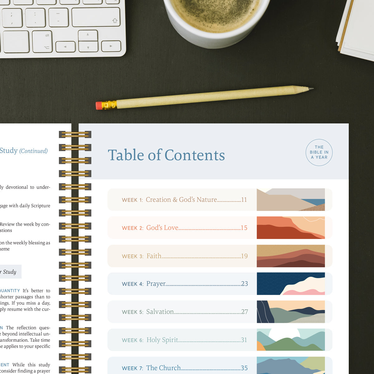 Bible In A Year Essentials