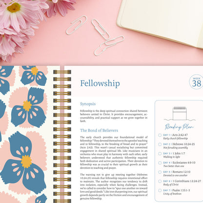 The Daily Walk Bundle