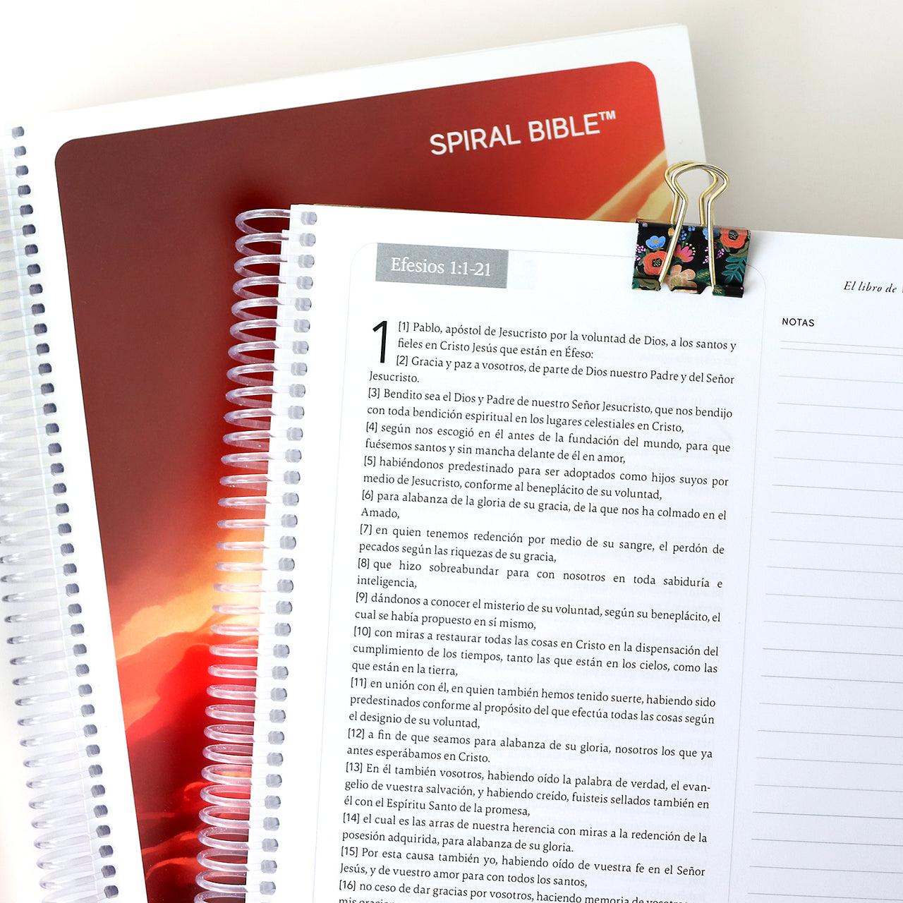 Spiral Bible™ - Reina-Valera (RVR) - New Testament